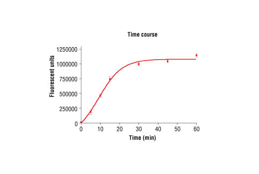 Figure 2. Time course of PKCepsilon kinase activity: DELFIA® data generated using Phospho-PKA Substrate (RRXS/T) (100G7) Rabbit mAb #9624 to detect phosphorylation of PKCepsilon substrate peptide (#1331) by PKCepsilon kinase. In a 50 µl reaction, 25 ng PKCepsilon and 1.5 µM substrate peptide were used per reaction. (DELFIA® is a registered trademark of PerkinElmer, Inc.)