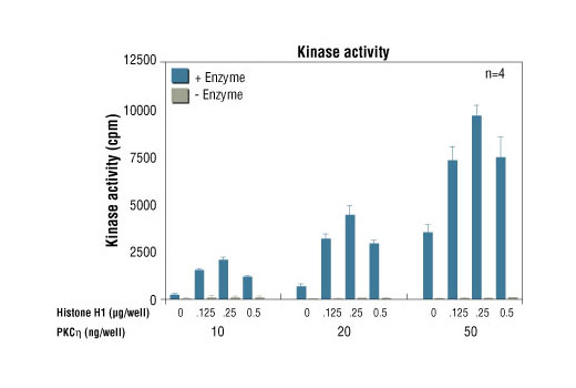 Figure 1. PKCeta kinase activity was measured in a radiometric assay using the following reaction conditions: 60 mM HEPES-NaOH, pH 7.5, 3 mM MgCl2, 3 mM MnCl2, 3 µM Na-orthovanadate, 1.2 mM DTT, 1 µM ATP, 2.5 µg/50 µl PEG20,000, Substrate: Histone H1, variable and Recombinant PKCeta, variable.