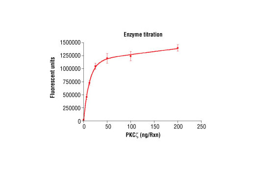 Figure 3. Dose dependence curve of PKCzeta kinase activity: DELFIA® data generated using Phospho-PKA Substrate (RRXS/T) (100G7) Rabbit mAb #9624 to detect phosphorylation of substrate peptide (#1331) by PKCzeta kinase. In a 50 µl reaction, increasing amounts of PKCzeta and 1.5 µM substrate peptide were used per reaction at room temperature for 30 minutes. (DELFIA® is a registered trademark of PerkinElmer, Inc.)