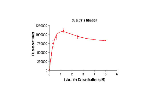 Figure 4. Peptide concentration dependence of PKCzeta kinase activity: DELFIA® data generated using Phospho-PKA Substrate (RRXS/T) (100G7) Rabbit mAb #9624 to detect phosphorylation of substrate peptide (#1331) by PKCzeta kinase. In a 50 µl reaction, 50 ng of PKCzeta and increasing concentrations of substrate peptide were used per reaction at room temperature for 30 minutes. (DELFIA® is a registered trademark of PerkinElmer, Inc.)