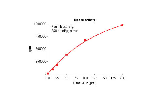 Figure 1. ROCK2 kinase activity was measured in a radiometric assay using the following reaction conditions: 5 mM MOPS, pH 7.2, 2.5 mM β-glycerophosphate, 1 mM EGTA, 0.4 mM EDTA, 5 mM MgCl2, 0.05 mM DTT, 50 μM ATP, Substrate: S6K substrate peptide (KRRRLASLR) 400 ng/μL, and variable amounts of recombinant ROCK2.