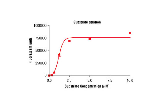 Figure 4. Peptide concentration dependence of ROCK2 kinase activity: DELFIA® data generated using Phospho-PLK (Ser137) Antibody #5070 to detect phosphorylation of substrate peptide (#1300) by ROCK2 kinase. In a 50 µl reaction, 50 ng of ROCK2 and increasing concentrations of substrate peptide were used per reaction at room temperature for 30 minutes. (DELFIA® is a registered trademark of PerkinElmer, Inc.)