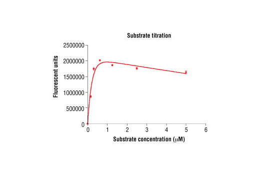 Figure 4. Peptide concentration dependence of SGK3 kinase activity: DELFIA® data generated using Phospho-PLK (Ser137) Antibody #5070 to detect phosphorylation of substrate peptide (#1300) by SGK3 kinase. In a 50 µl reaction, 50 ng of SGK3 and increasing concentrations of substrate peptide were used per reaction at room temperature for 30 minutes. (DELFIA® is a registered trademark of PerkinElmer, Inc.)