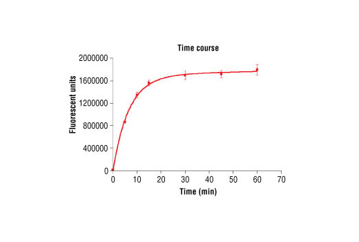 Figure 2. Time course of SGK3 kinase activity: DELFIA® data generated using Phospho-PLK (Ser137) Antibody #5070 to detect phosphorylation of SGK3 substrate peptide (#1300) by SGK3 kinase. In a 50 µl reaction, 50 ng SGK3 and 1.5 µM substrate peptide were used per reaction. (DELFIA® is a registered trademark of PerkinElmer, Inc.)
