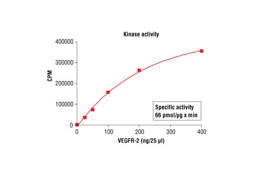Figure 1. VEGFR2 kinase activity was measured in a radiometric assay using the following reaction conditions: 4 mM MOPS, pH 7.2, 2.5 mM β-glycerophosphate, 1 mM EGTA, 0.4 mM EDTA, 4 mM MgCl2, 0.05 mM DTT, 50 μM ATP, Substrate: MBP 200 ng/μL, and variable amounts of recombinant VEGFR-2.