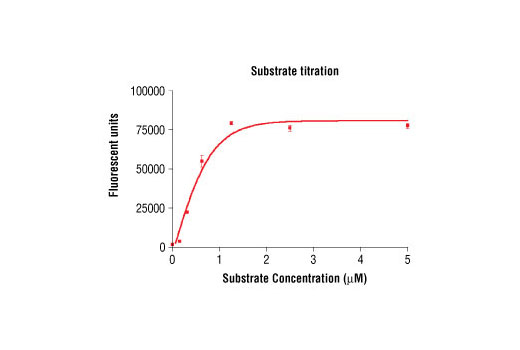 Figure 4. Peptide concentration dependence of VEGFR-2 kinase activity: DELFIA® data generated using Phospho-Tyrosine Mouse mAb (P-Tyr-100) #9411 to detect phosphorylation of substrate peptide #1310 by VEGFR-2 kinase. In a 50 µl reaction, 100 ng of VEGFR-2 and increasing concentrations of substrate peptide were used per reaction at room temperature for 30 minutes. (DELFIA® is a registered trademark of PerkinElmer, Inc.)