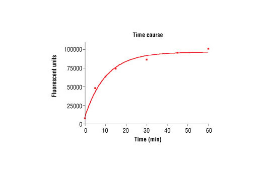 Figure 2. Time course of VEGFR-2 kinase activity: DELFIA® data generated using Phospho-Tyrosine Mouse mAb (P-Tyr-100) #9411 to detect phosphorylation of VEGFR-2 substrate peptide #1310 by VEGFR-2 kinase. In a 50 µl reaction, 100 ng VEGFR-2 and 1.5 µM substrate peptide were used per reaction. (DELFIA® is a registered trademark of PerkinElmer, Inc.)