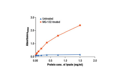 Figure 2: The relationship between protein concentration of lysates from HeLa cells, untreated or treated with MG-132 #2194, and the absorbance 450 nm as detected by the PathScan® Hydroxy-HIF-1α (Pro564) Sandwich ELISA Kit is shown.