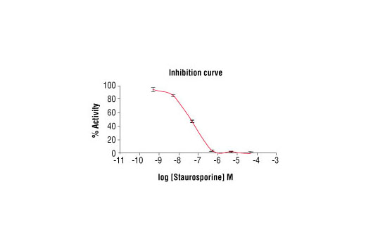 Figure 5. Staurosporine inhibition of VEGFR-1 kinase activity: DELFIA® data generated using Phospho-Tyrosine Mouse mAb (P-Tyr-100) #9411 to detect phosphorylation of VEGFR-1 substrate peptide (#1310) by VEGFR-1 kinase. In a 50 µl reaction, 50 ng VEGFR-1, 1.5 µM substrate peptide, 20 µM ATP and increasing amounts of staurosporine were used per reaction at room temperature for 30 minutes. (DELFIA® is a registered trademark of PerkinElmer, Inc.)
