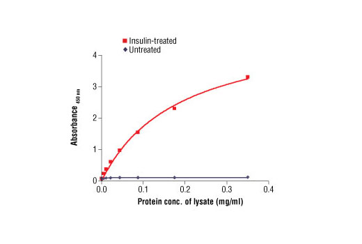 The relationship between protein concentration of lysates from untreated or insulin-treated CHO-IR/IRS-1 cells and the absorbance at 450 nm using PathScan® Phospho-Insulin Receptor β (Tyr1345) Sandwich ELISA Antibody Pair #7823 is shown. CHO-IR/IRS-1 cells (85% confluence) were serum starved overnight and then treated with insulin (100 nM) for 2 min at 37ºC, and then lysed.