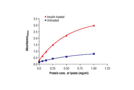 The relationship between the protein concentration of the lysate from untreated and insulin-treated hSkMC cells and the absorbance at 450 nm using PathScan® Phospho-IRS-1 (Ser302) Sandwich ELISA Antibody Pair #7284 is shown. After overnight starvation, hSkMC cells were treated with insulin (100 nM) for 15 minutes at 37ºC and then lysed.