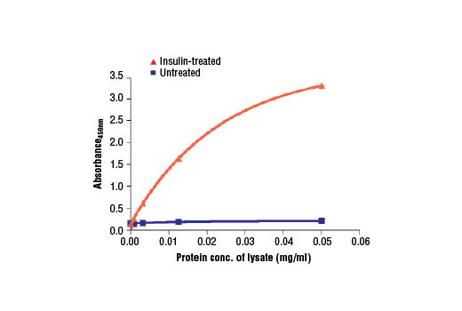  The relationship between the protein concentration of the lysate from untreated and insulin-treated CHO (IR/IRS-1) cells and the absorbance at 450 nm using PathScan® Phospho-IRS-1 (panTyr) Sandwich ELISA Antibody Pair #7347 is shown. After overnight starvation, CHO (IR/IRS-1) cells were treated with insulin (100 nM) for 7 minutes at 37ºC and then lysed.