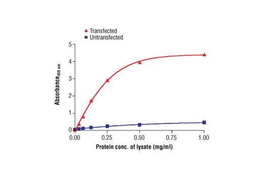  Figure 1. The relationship between the protein concentration of the lysate from untransfected CHO cells or CHO cells stably transfected with the insulin receptor + IRS-2 and the absorbance at 450 nm using the PathScan® Total IRS-2 Sandwich ELISA Antibody Pair is shown.