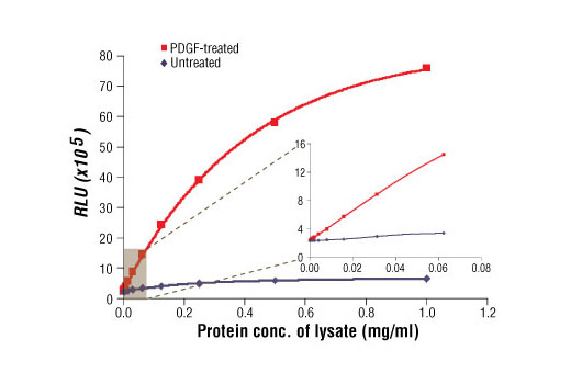 Relationship between protein concentration of lysates from untreated and PDGF-treated NIH/3T3 cells and immediate light generation with chemiluminescent substrate is shown. Cells (80% confluence) were treated with PDGF (50 ng/ml) and lysed after incubation at 37ºC for 5 minutes. Graph inset corresponding to the shaded area shows high sensitivity and a linear response at the low protein concentration range.