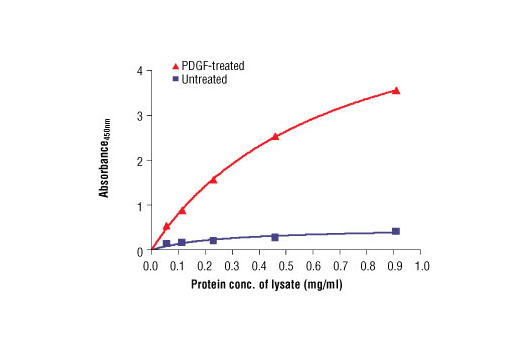 The relationship between protein concentration of untreated and PDGF-treated MG63 cell lysates and the absorbance at 450 nm is shown. Cells were serum starved overnight and then treated with PDGF (50 ng/ml) for 7 min. at 37oC.