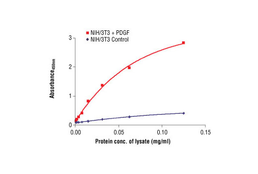 The relationship between lysate protein concentration from untreated and PDGF treated NIH/3T3 cells and the absorbance at 450 nm using PathScan® Phospho-S6 Ribosomal Protein (Ser235/236) Sandwich ELISA Antibody Pair #7201 is shown. NIH/3T3 cells were starved overnight, treated with PDGF for 20 minutes at 37ºC and then lysed.