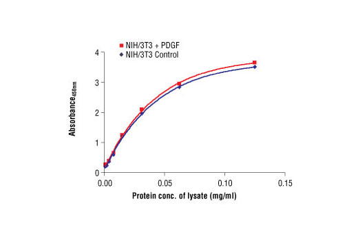 The relationship between lysate protein concentration from untreated and PDGF treated NIH/3T3 cells and the absorbance at 450 nm using PathScan® Total S6 Ribosomal Protein Sandwich ELISA Antibody Pair #7203 is shown. NIH/3T3 cells were starved overnight, treated with PDGF for 20 minutes at 37ºC and then lysed.