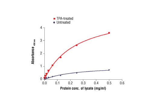  The relationship between the protein concentration of lysates from untreated and TPA-treated OVCAR8 cells and the absorbance at 450 nm using PathScan® Phospho-Bad (Ser112) Sandwich ELISA Antibody Pair #7842 is shown. Cells were serum-starved overnight and then treated with 200 nm TPA for 30 min. at 37ºC.