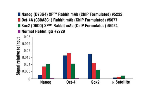  Chromatin immunoprecipitations were performed with cross-linked chromatin from 4 x 106 NCCIT cells and 10 μl of Nanog, Oct-4 and Sox2 antibodies or 2 μl of Normal Rabbit IgG, using SimpleChIP® Enzymatic Chromatin IP Kit (Magnetic Beads) #9003. The enriched DNA was quantified by real-time PCR using human Nanog promoter primers, SimpleChIP® Human Oct-4 Promoter Primers #4641, SimpleChIP® Human Sox2 Promoter Primers #4649, and SimpleChIP® Human α Satellite Repeat Primers #4486. The amount of immunoprecipitated DNA in each sample is represented as signal relative to the total amount of input chromatin, which is equivalent to one.