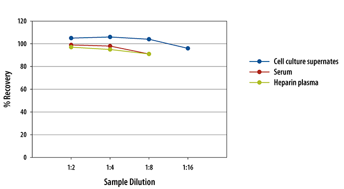  Human Total MMP-3 Quantikine ELISA Kit