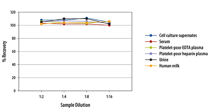 Human MIF Quantikine ELISA Kit 