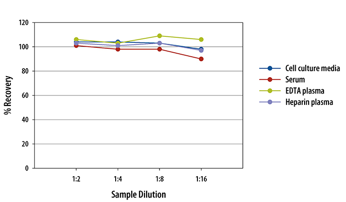  Human SP-D Quantikine ELISA Kit 