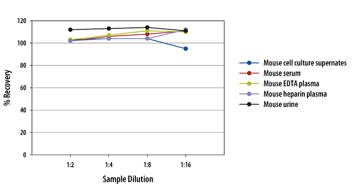  Mouse/Rat FABP1/L-FABP Quantikine ELISA Kit 