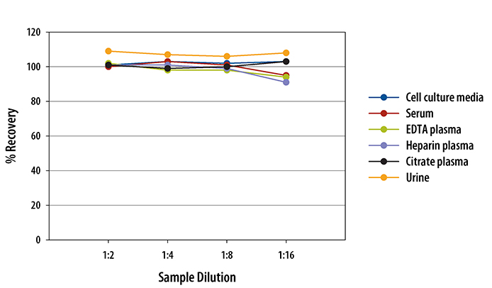 Human PlGF Quantikine ELISA Kit 