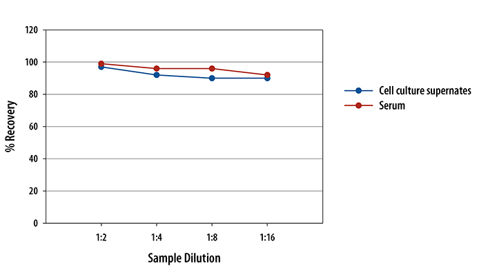 Mouse CCL3/MIP-1 alpha Quantikine ELISA Kit, 2 Plate 