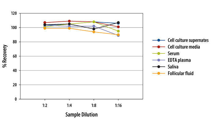 Human VEGF R1/Flt-1 Quantikine ELISA Kit 