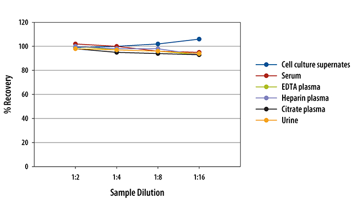 Human sTNF RII/TNFRSF1B Quantikine ELISA Kit 