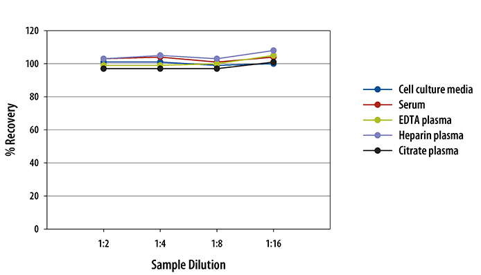 Human Free BDNF Quantikine ELISA Kit 