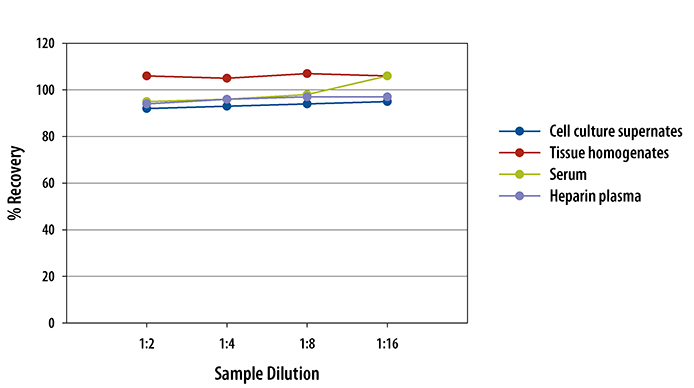 Mouse Erythropoietin Quantikine ELISA Kit 