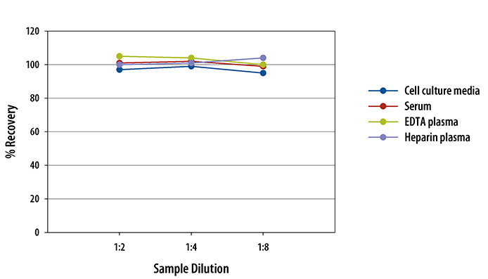 Human ICAM-1/CD54 Allele-specific Quantikine ELISA Kit 