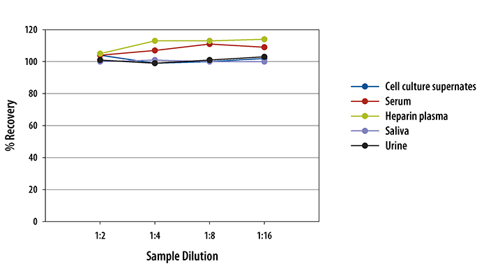 Human Lipocalin-2/NGAL Quantikine ELISA Kit 