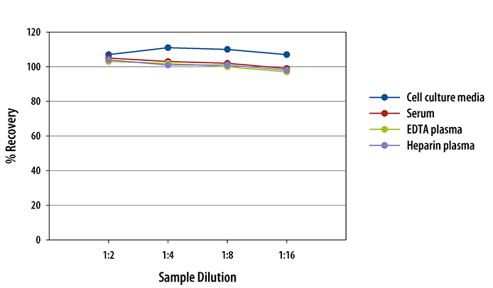  Human CCL17/TARC Quantikine ELISA Kit 