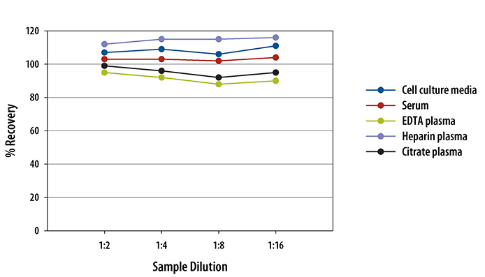 Human CXCL1/GRO alpha Quantikine ELISA Kit 