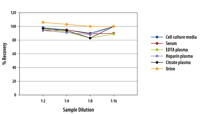  Human EGF Quantikine ELISA Kit 