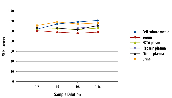 Human IL-6 R alpha Quantikine ELISA Kit 