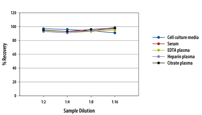  Human CCL4/MIP-1 beta Quantikine ELISA Kit