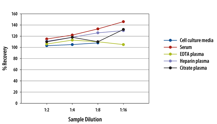 Human G-CSF Quantikine ELISA Kit 