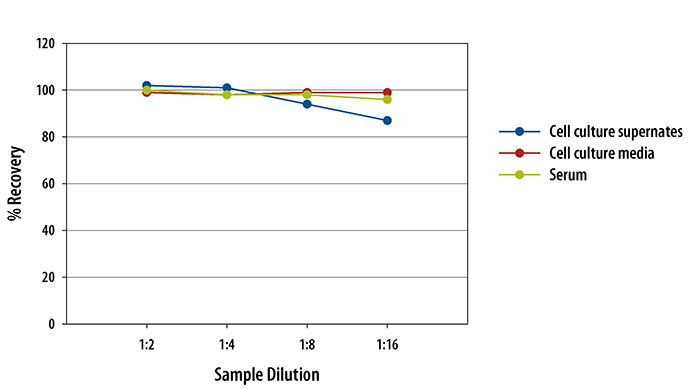  Mouse CXCL12/SDF-1 alpha Quantikine ELISA Kit