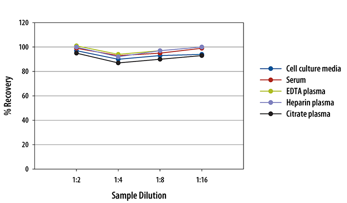  Human TGF-beta 2 Quantikine ELISA Kit