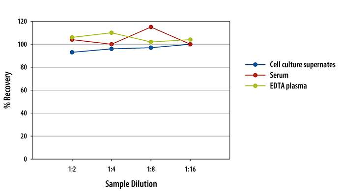  Mouse CCL17/TARC Quantikine ELISA Kit