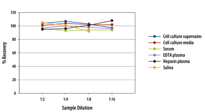Human CXCL13/BLC/BCA-1 Quantikine ELISA Kit 