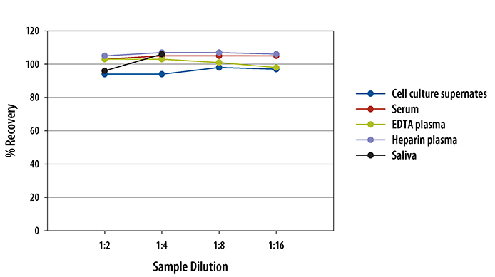  Human VEGF-C Quantikine ELISA Kit 