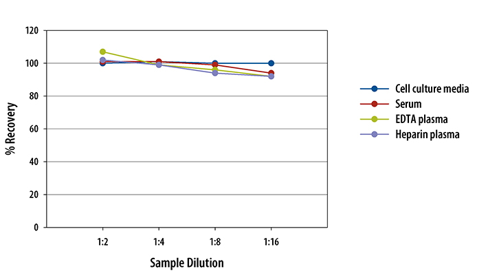  Human FGF-19 Quantikine ELISA Kit