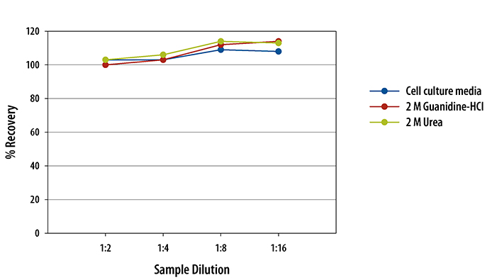  BMP-2 Quantikine ELISA Kit