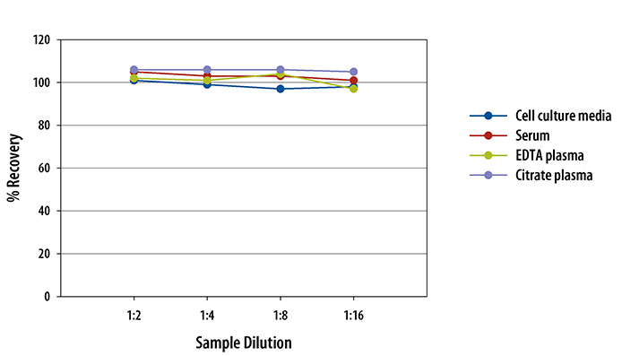  Human CCL11/Eotaxin Quantikine ELISA Kit 