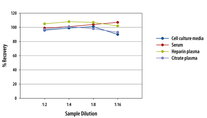  Human sE-Selectin/CD62E Quantikine ELISA Kit